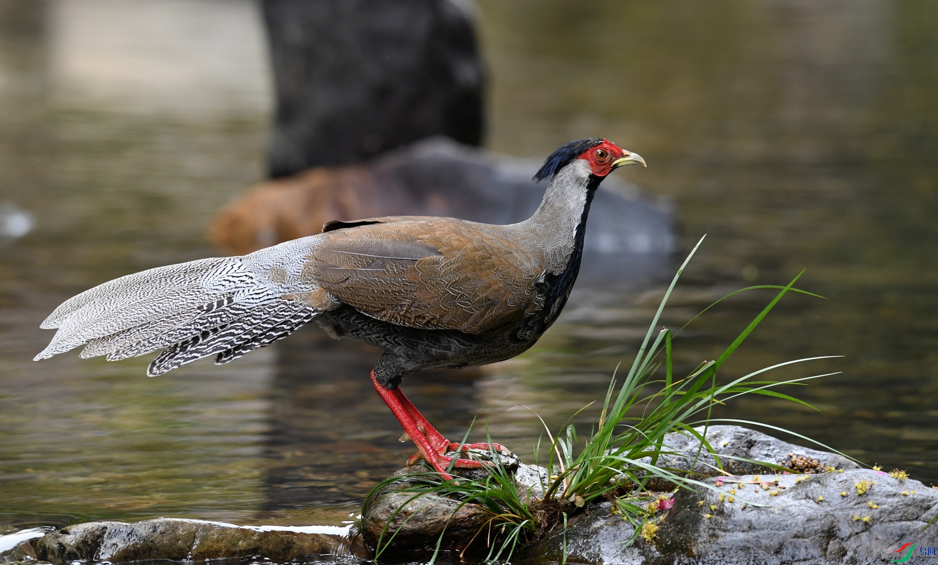 DSC_5411.jpg