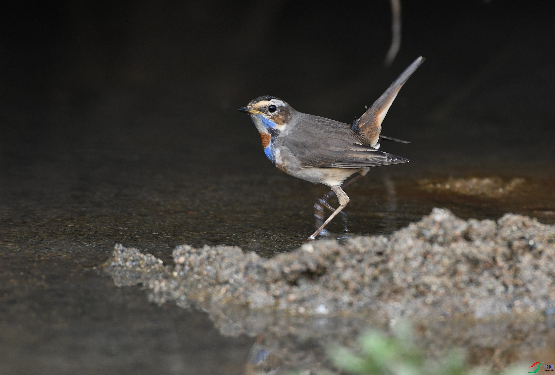 DSC_6351.jpg
