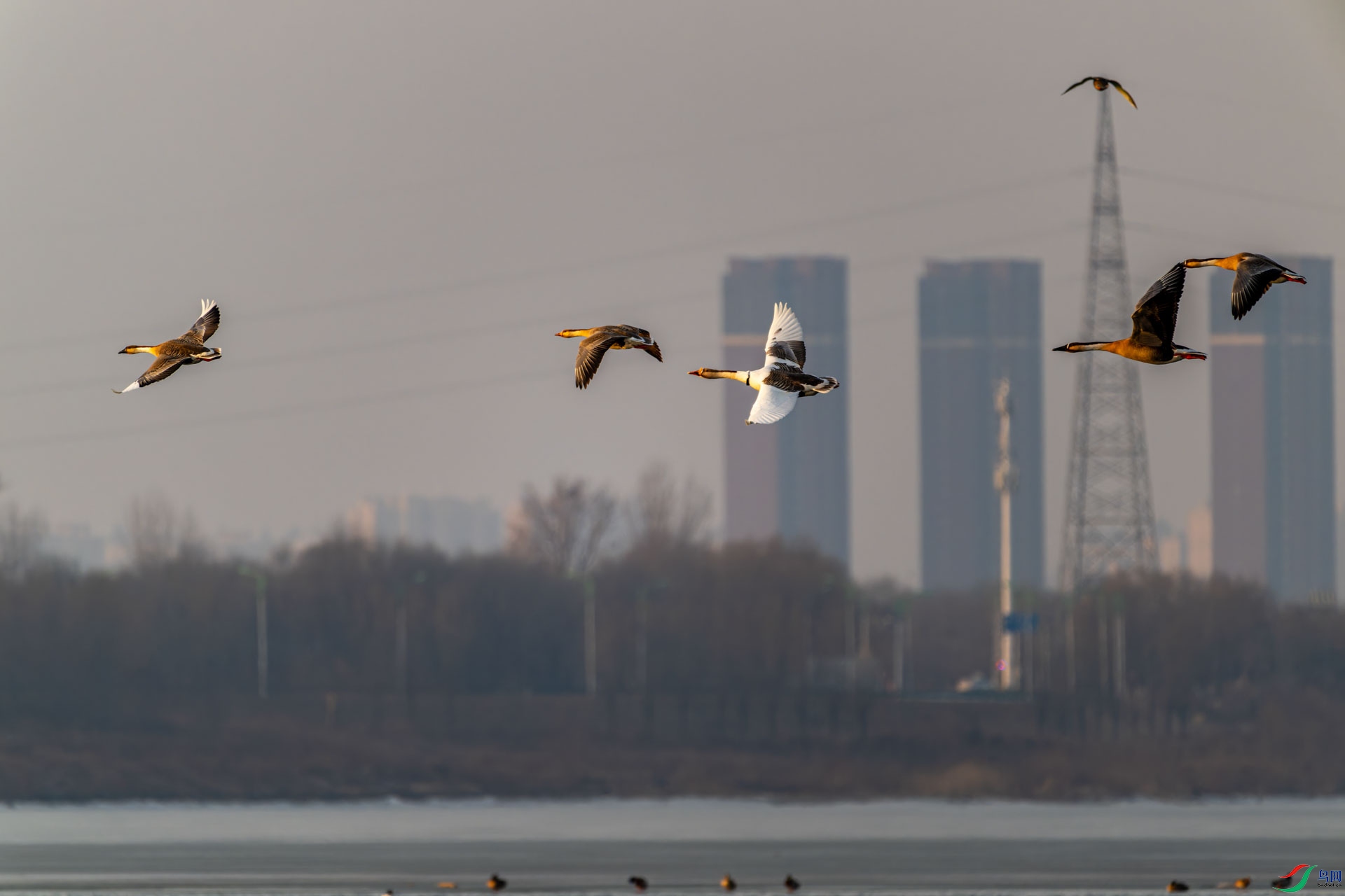 DSC_7918.jpg