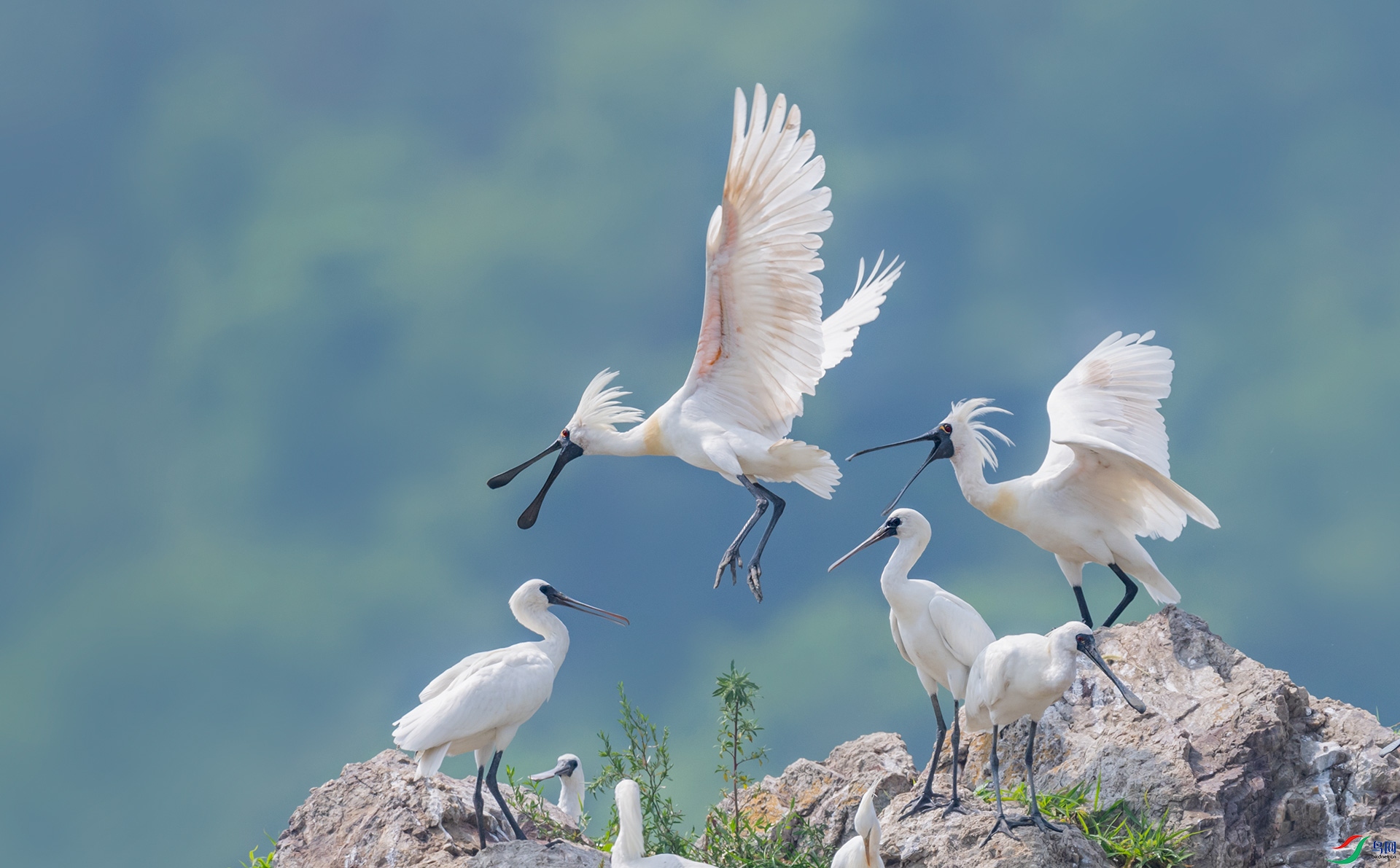 ��������