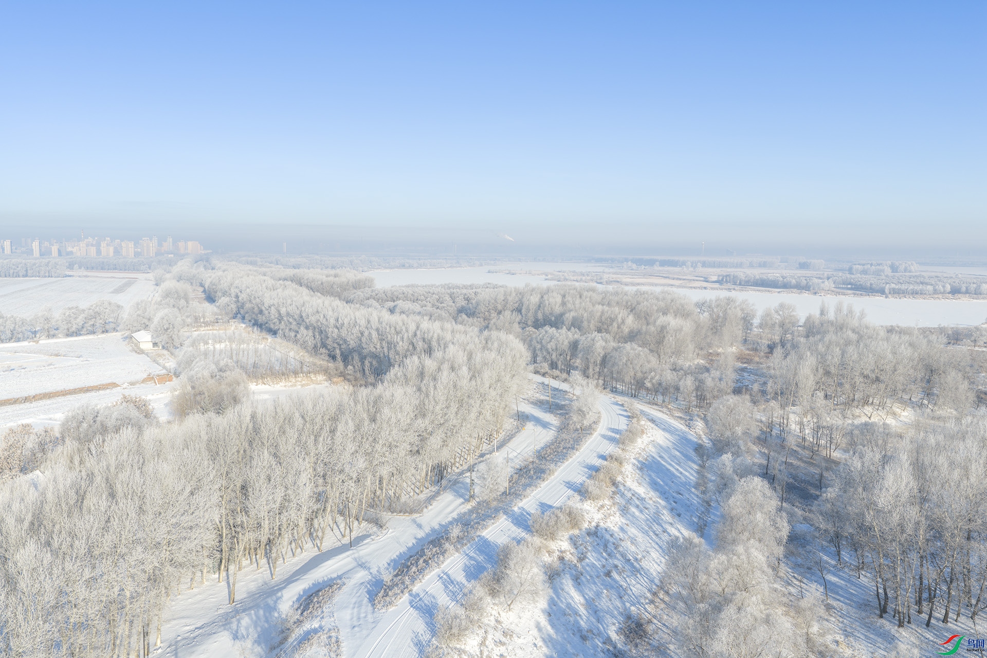 DJI_20260218082036_0017_D ����.jpg