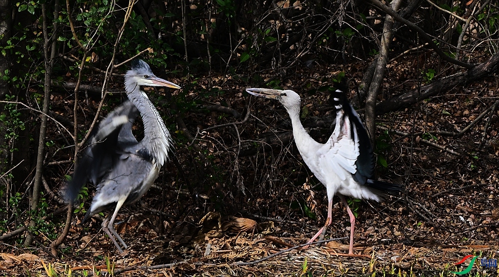 DSC_5412_����.jpg