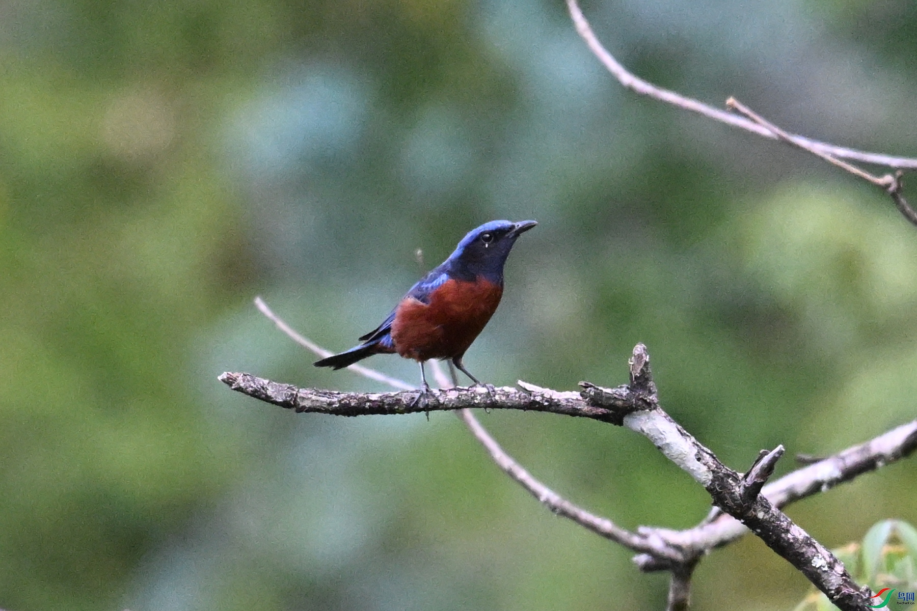 DSC_1911.JPG