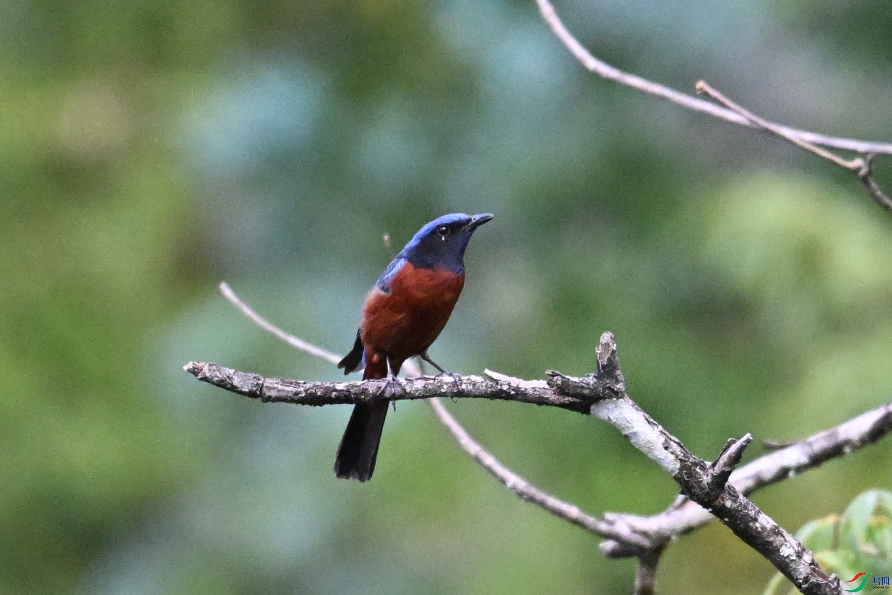 DSC_1913.JPG