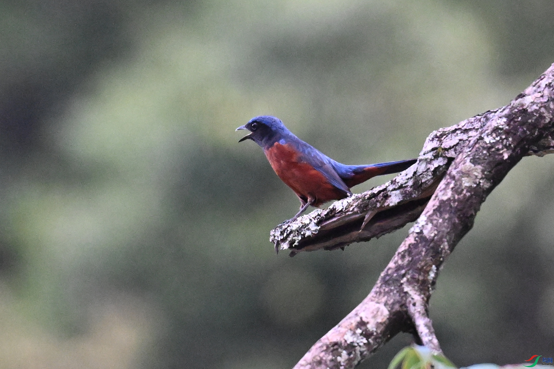 DSC_1865.JPG
