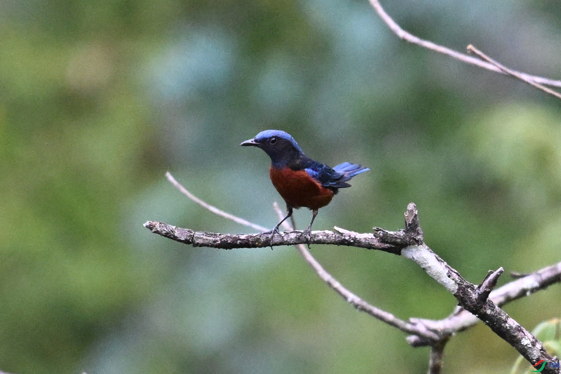 DSC_1915.JPG