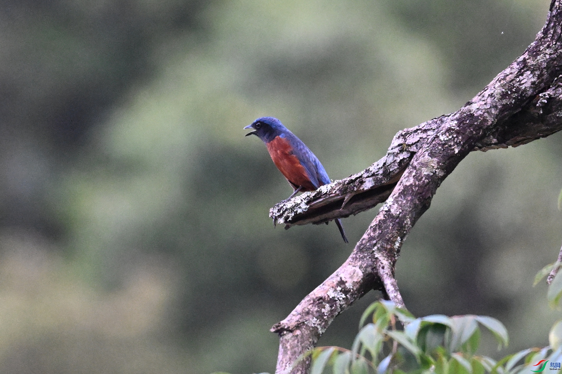 DSC_1869.JPG