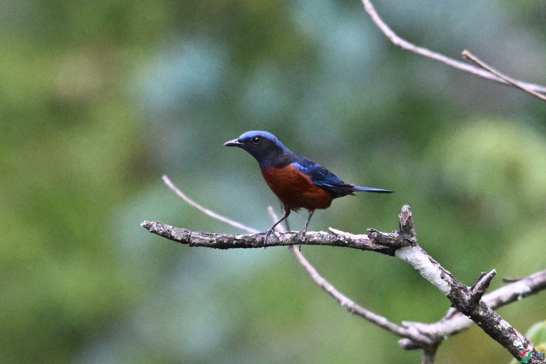 DSC_1919.JPG