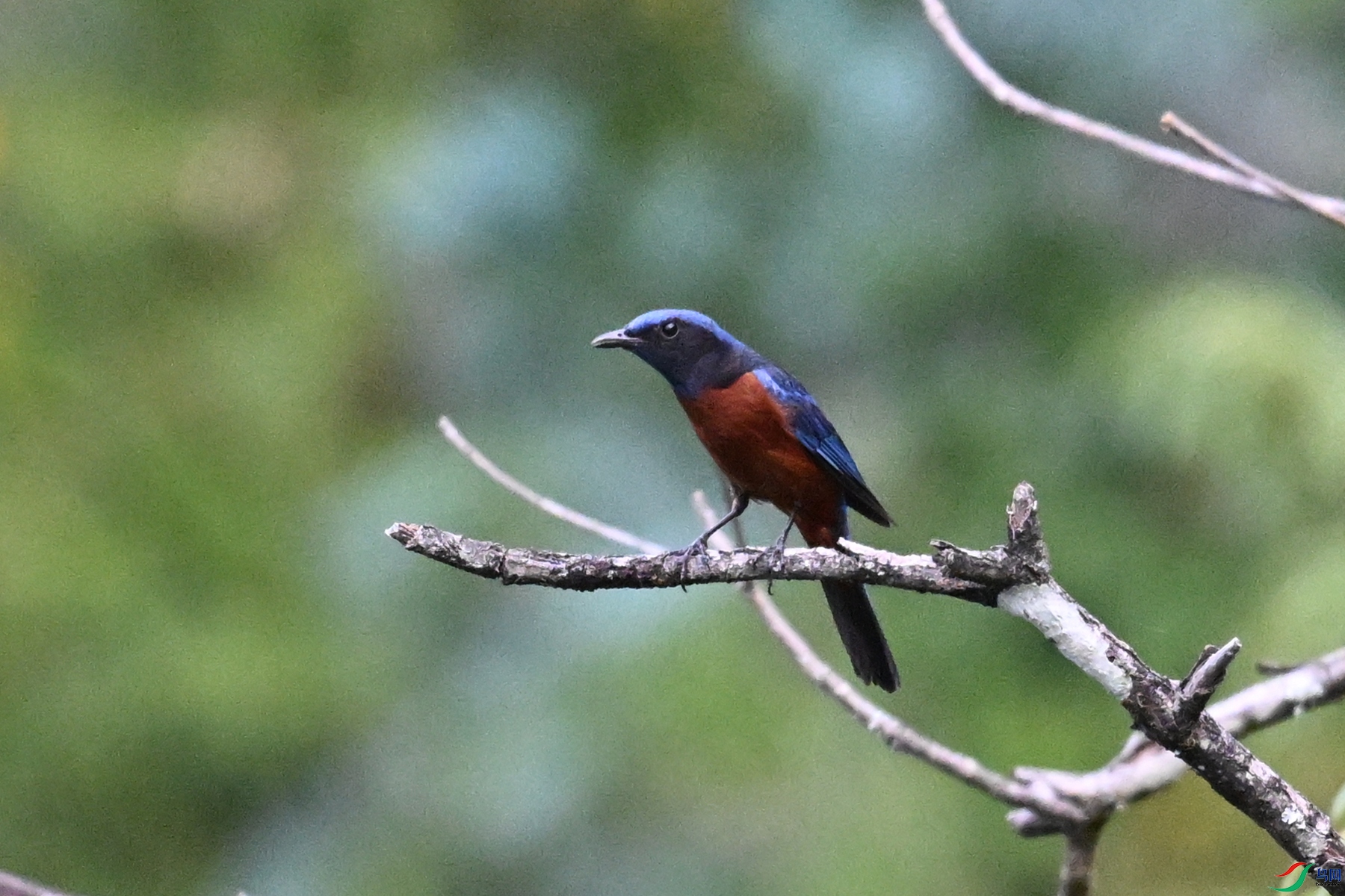 DSC_1923.JPG