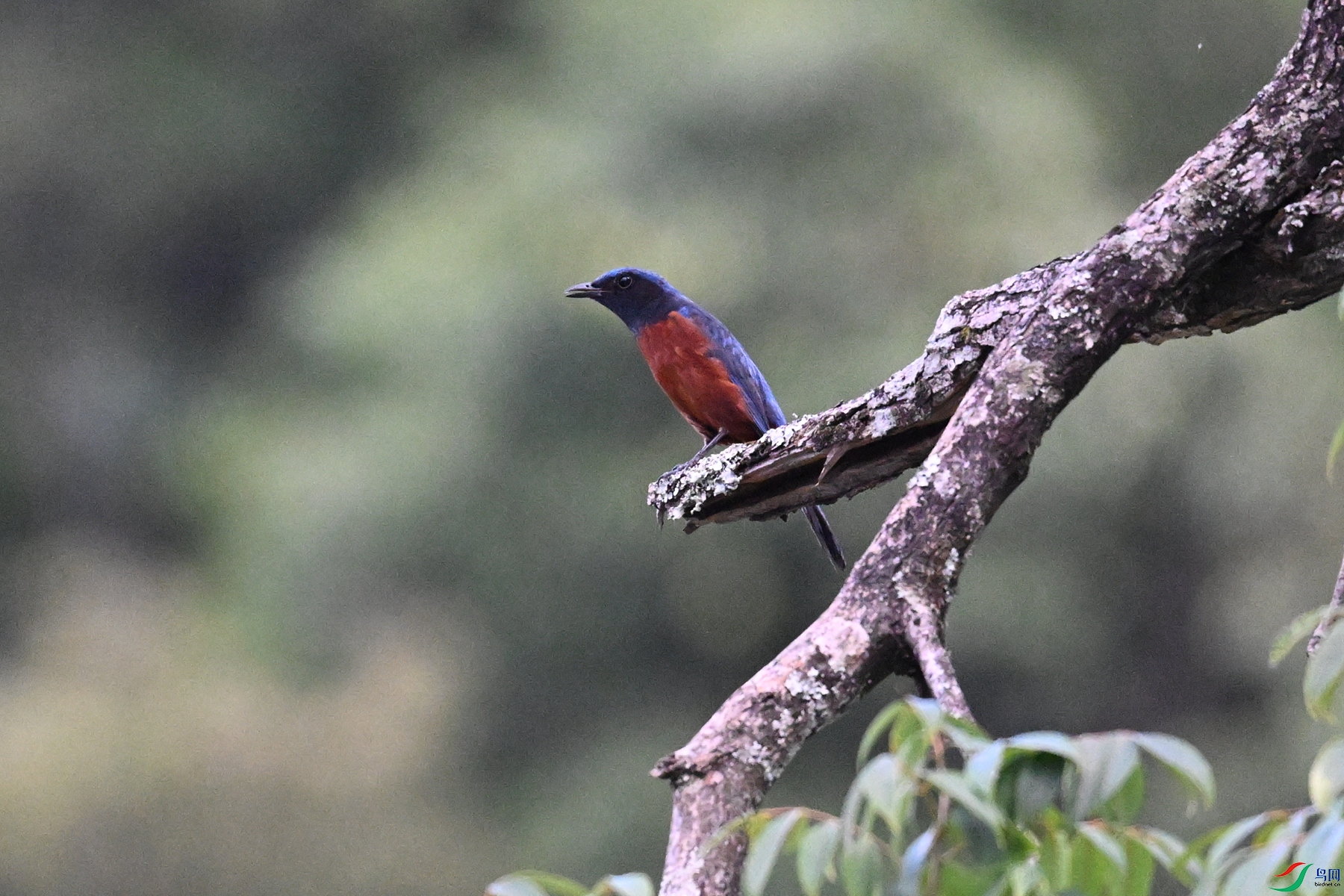 DSC_1880.JPG