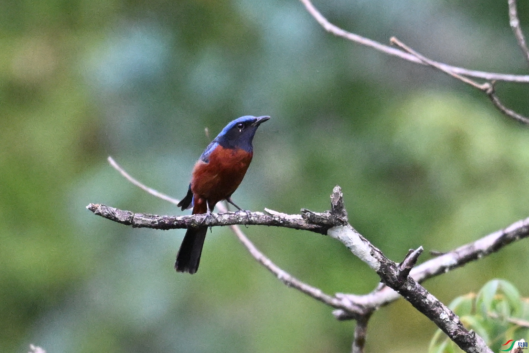 DSC_1912.JPG