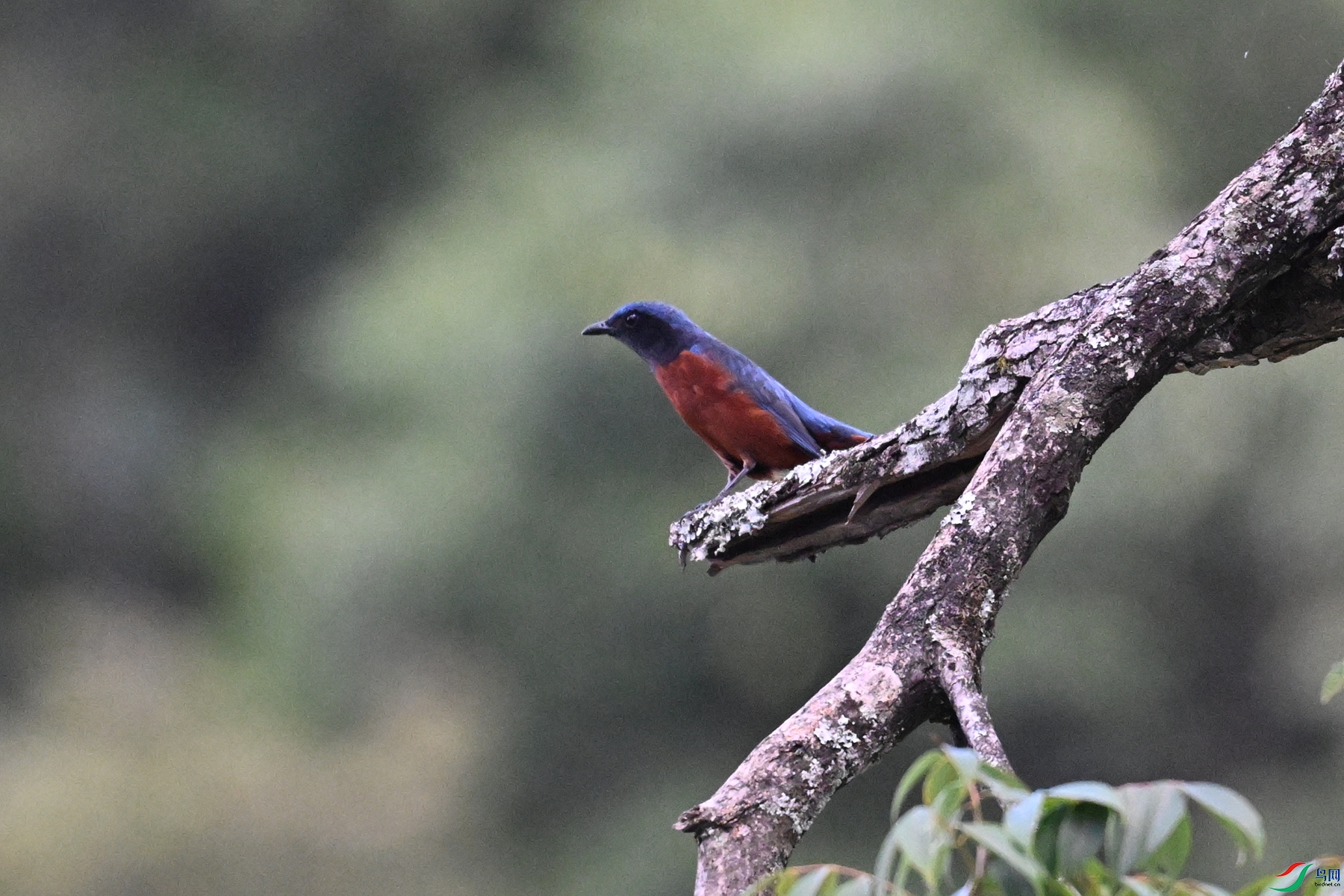 DSC_1883.JPG