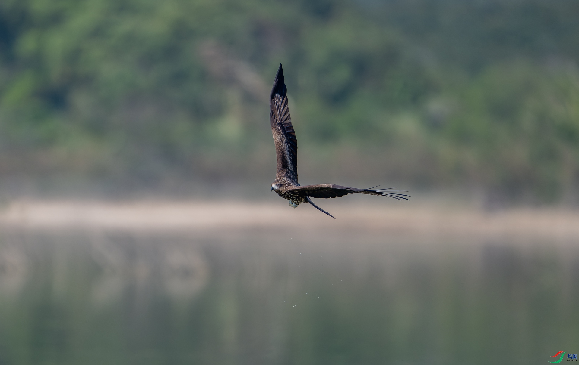 DSC_1250-1.jpg