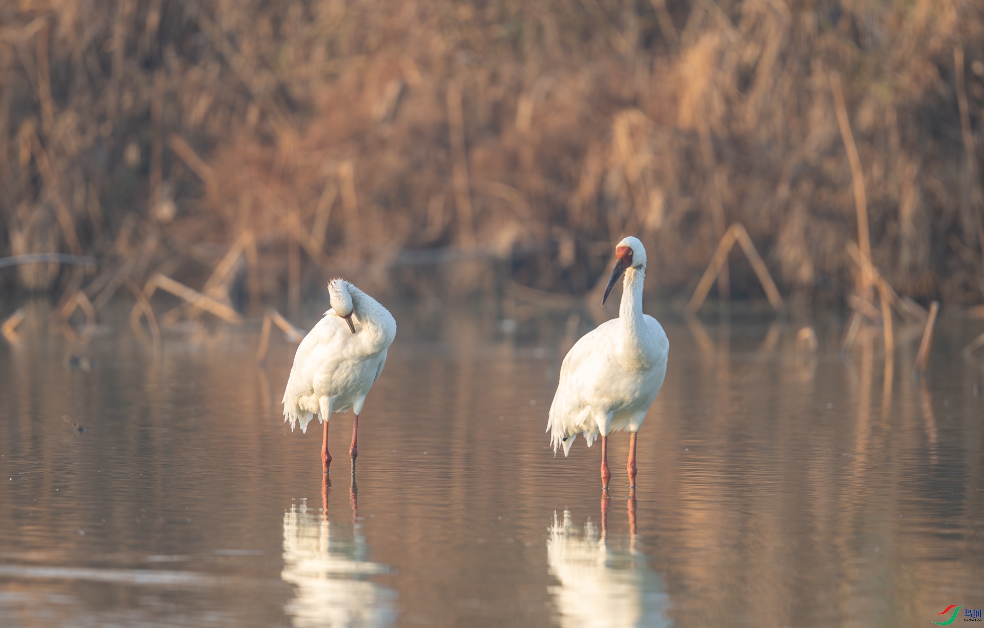 DSC_2725-1.jpg