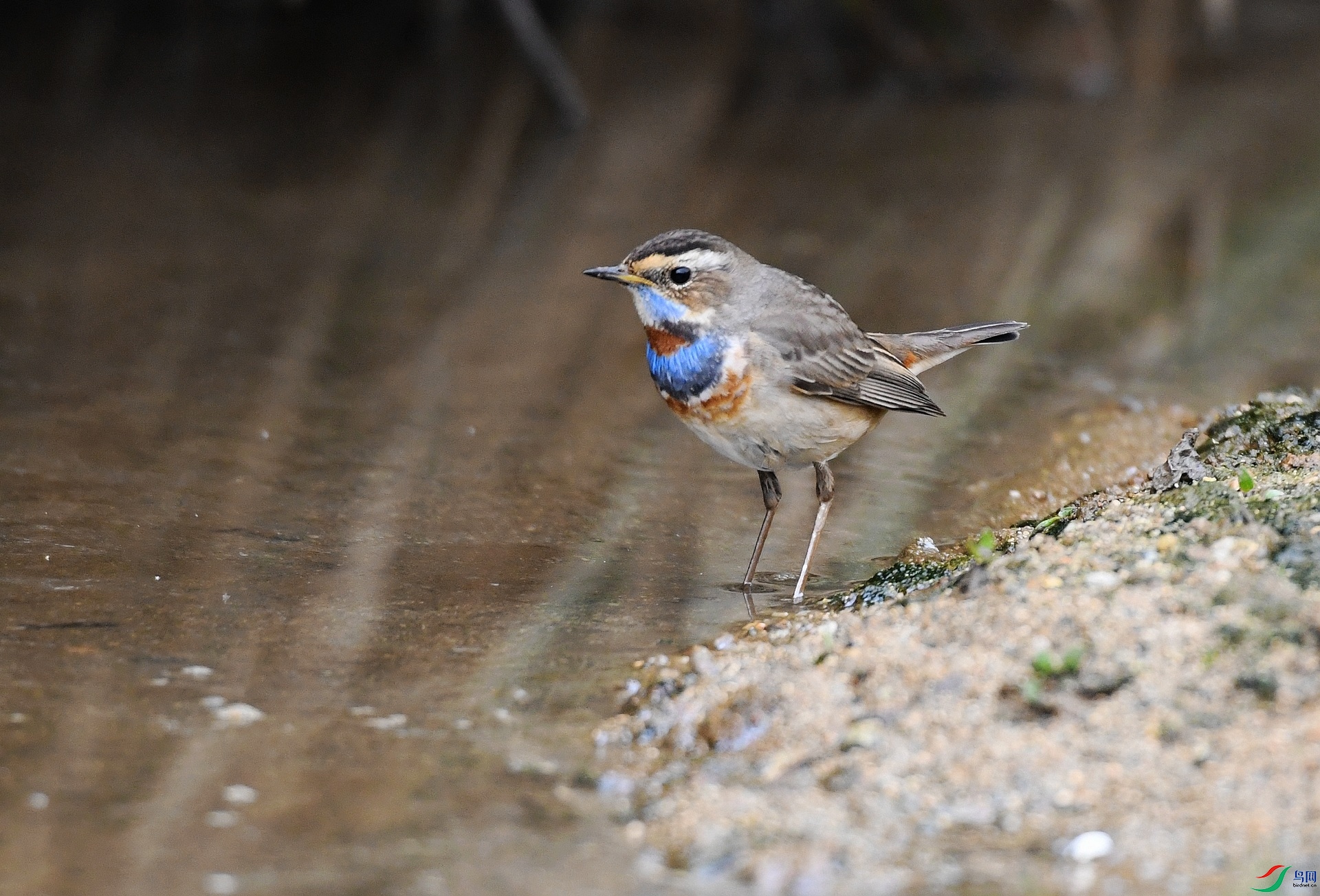 DSC_1834.jpg