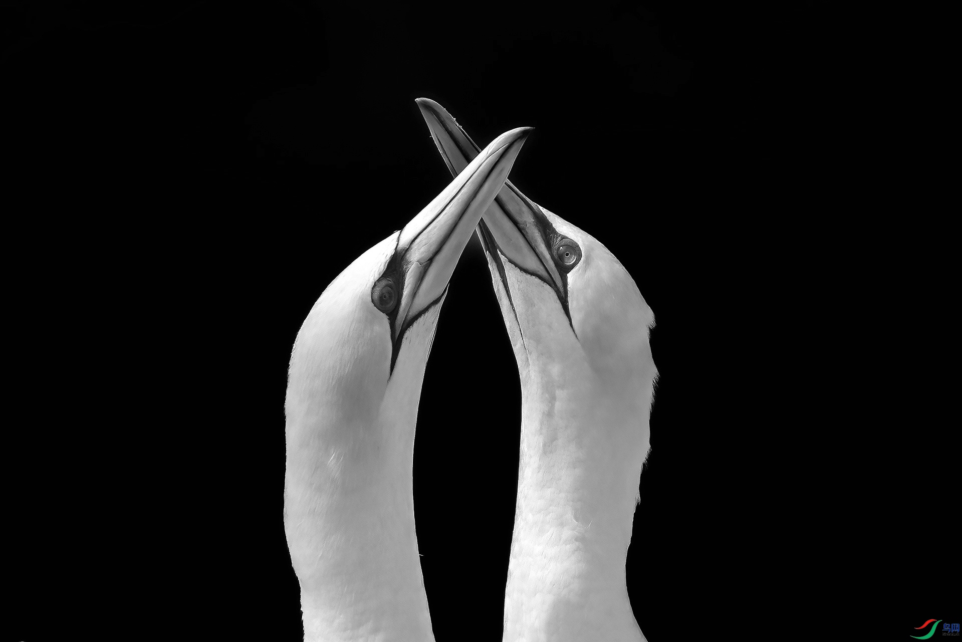1P8A3870.jpg