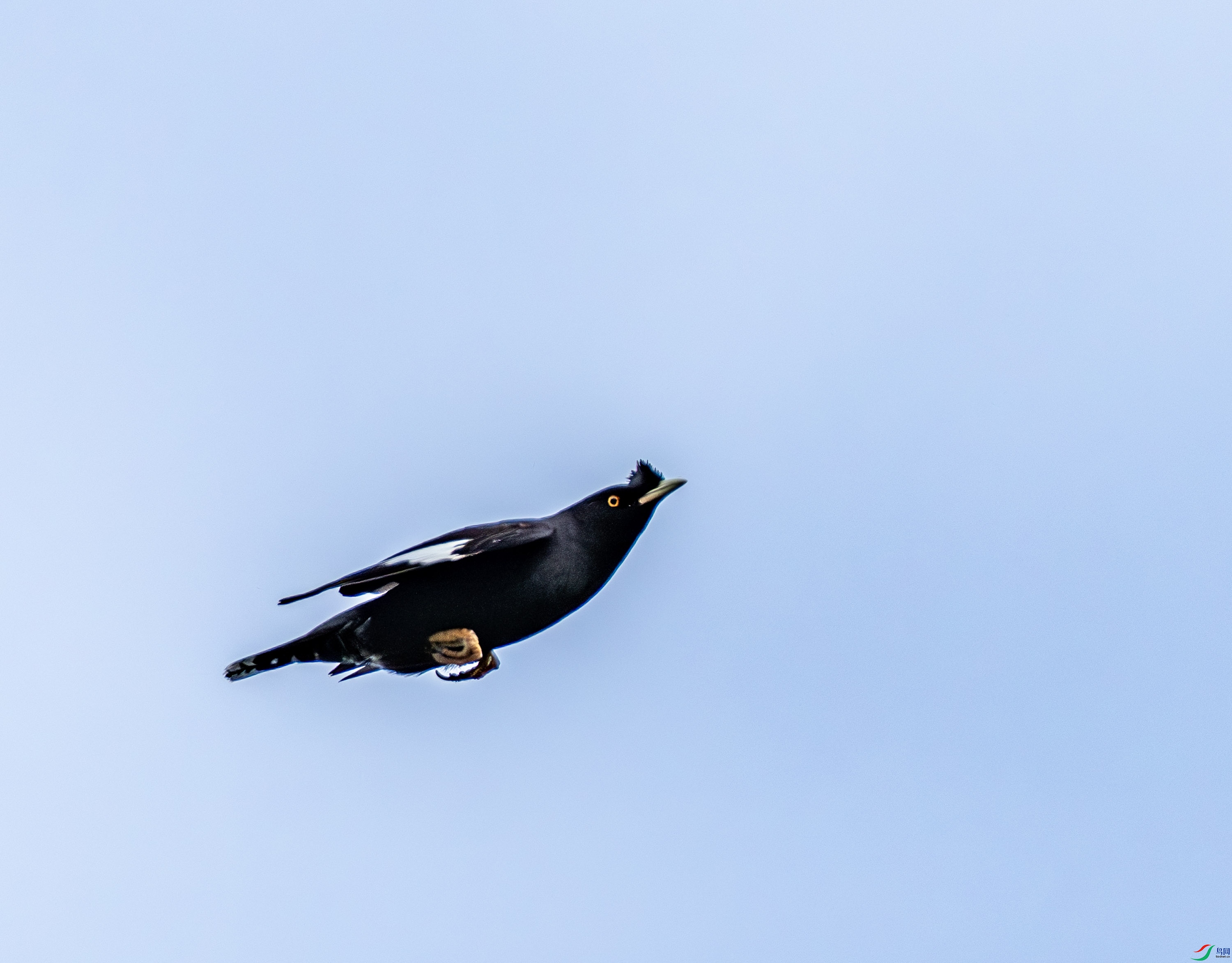 �˸�-01-3.jpg