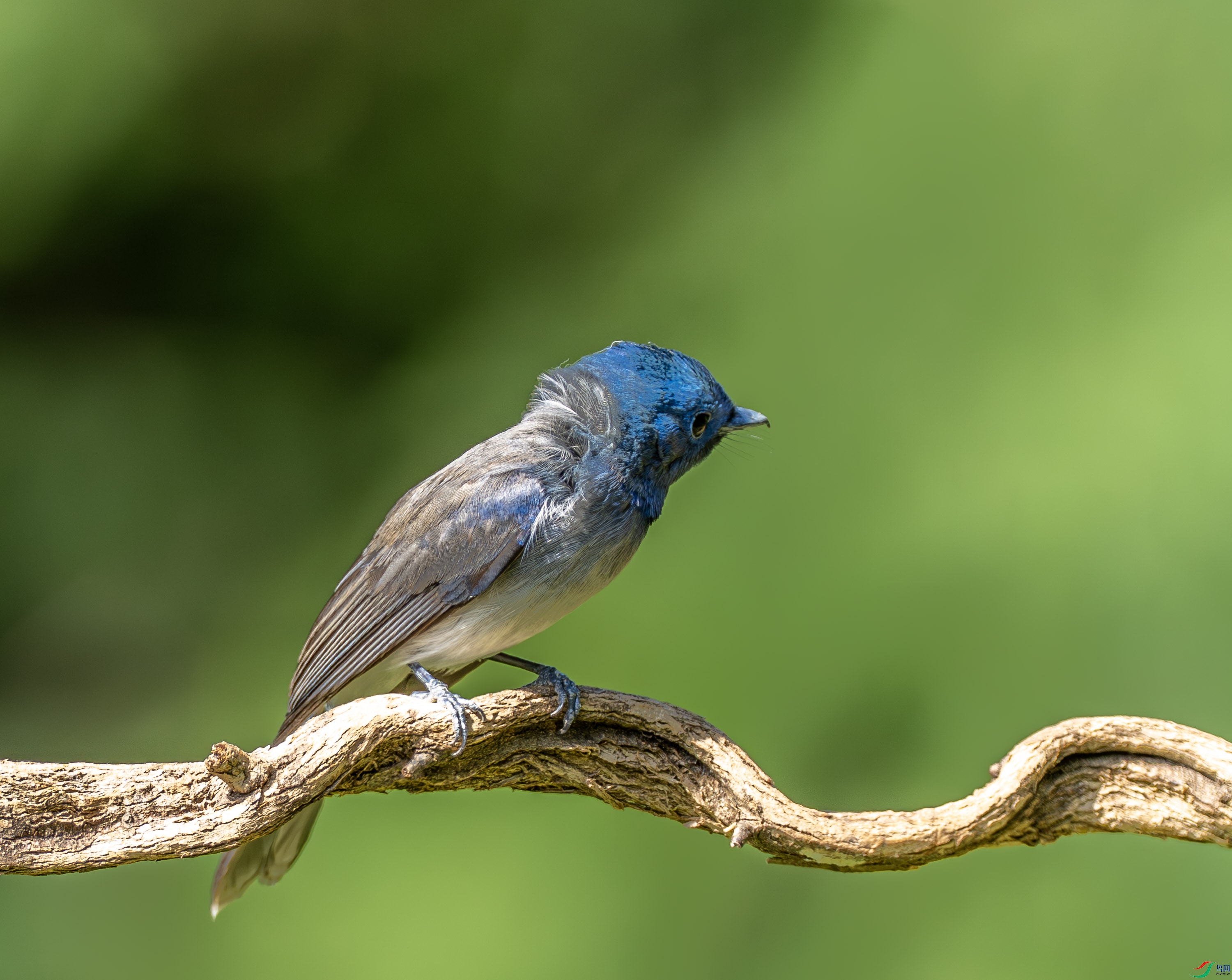 �������l-01-1.jpg
