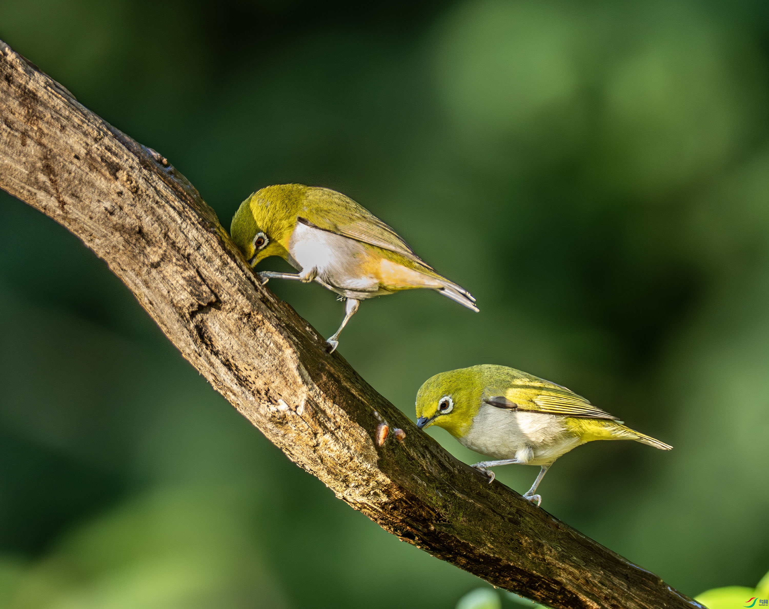 �Ҹ�������-01-1.jpg