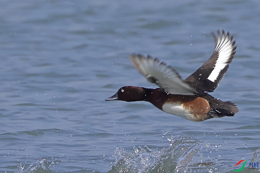 5966 ����.jpg