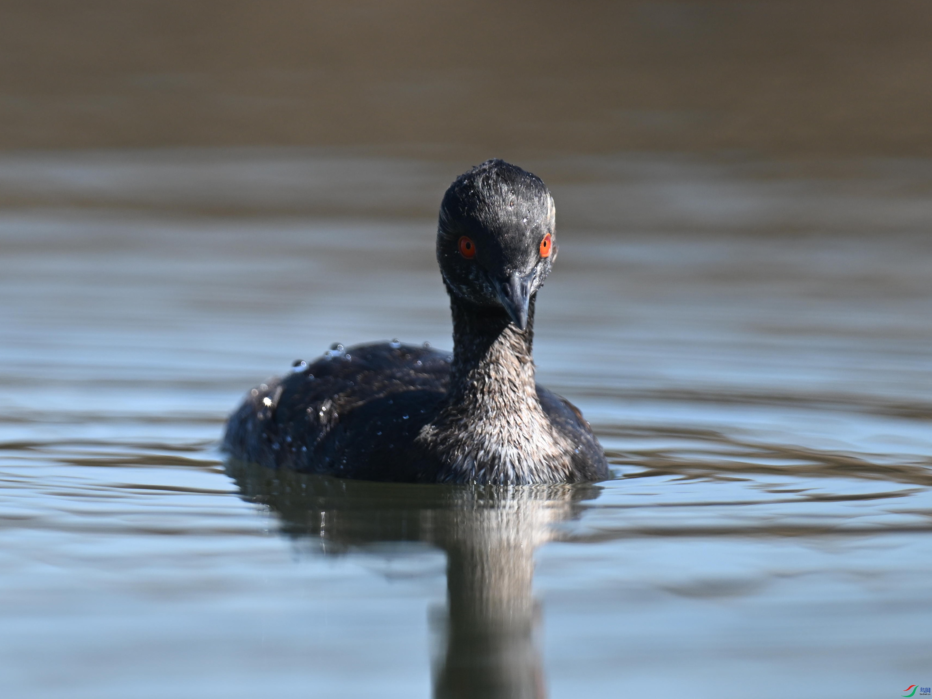 �ھ�PT1 (13).jpg