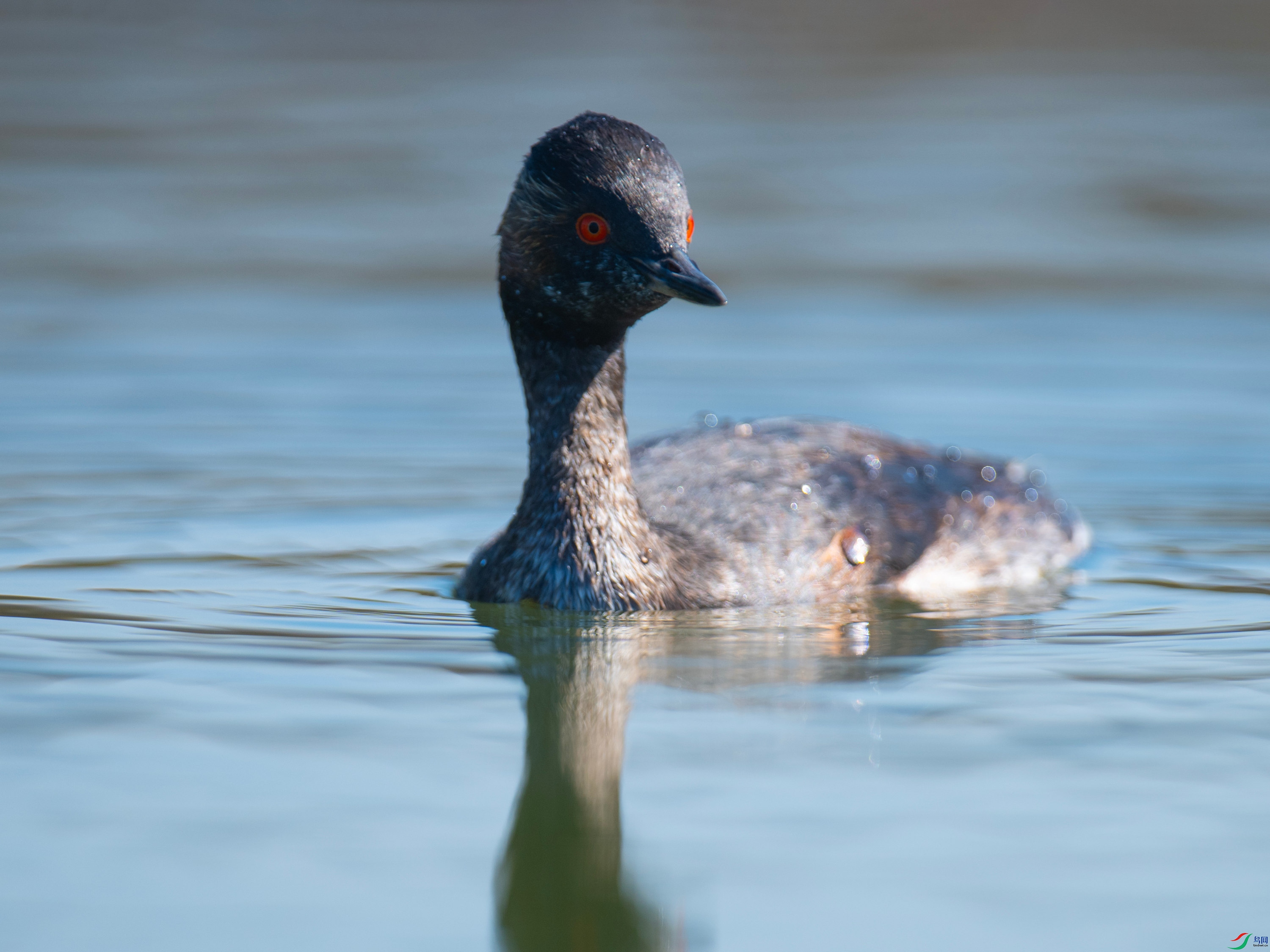 �ھ�PT1 (16).jpg