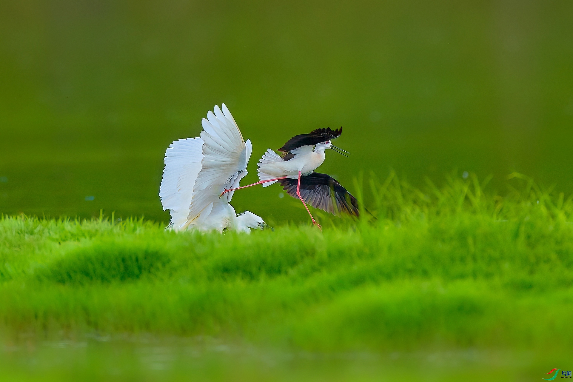 _90A7504_1-HZW.jpg