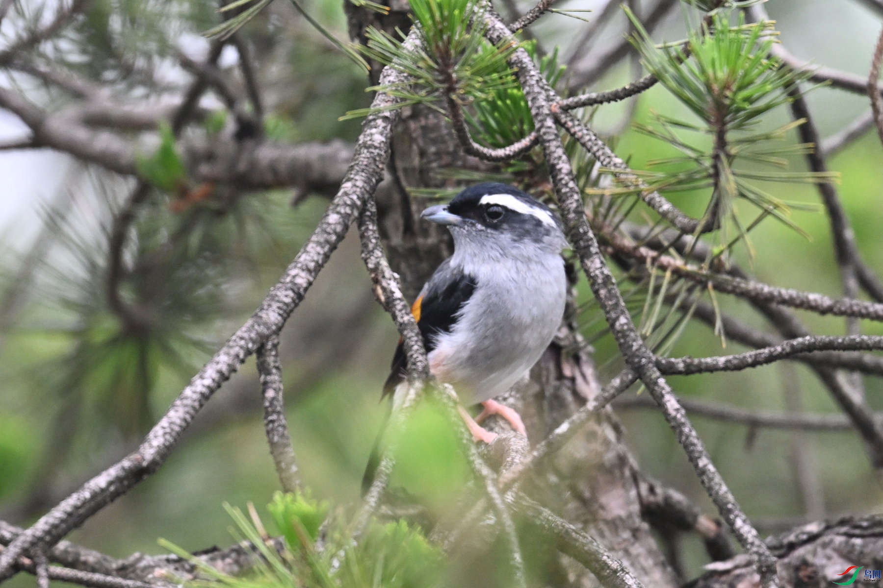 DSC_0946.JPG