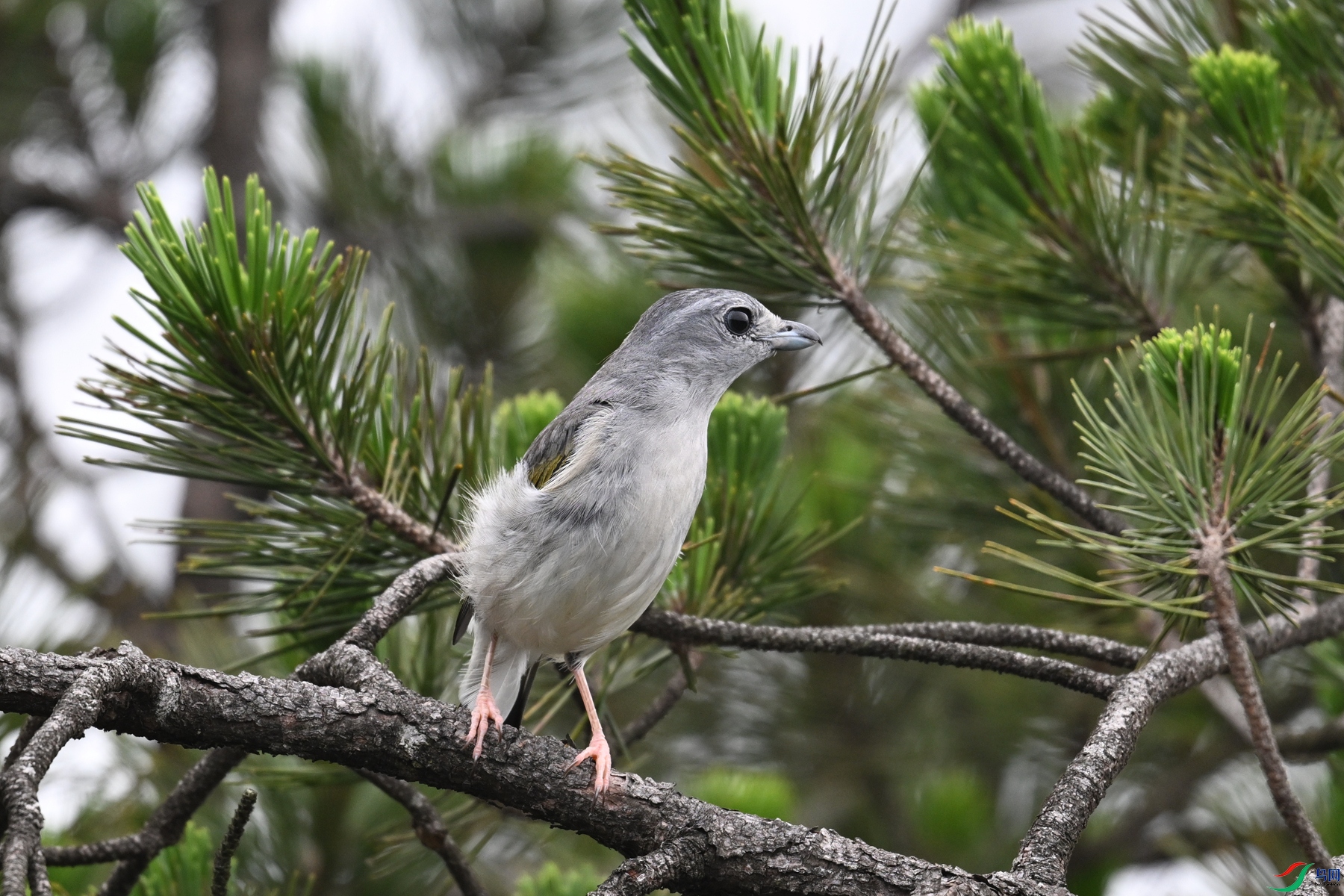 DSC_0907.JPG