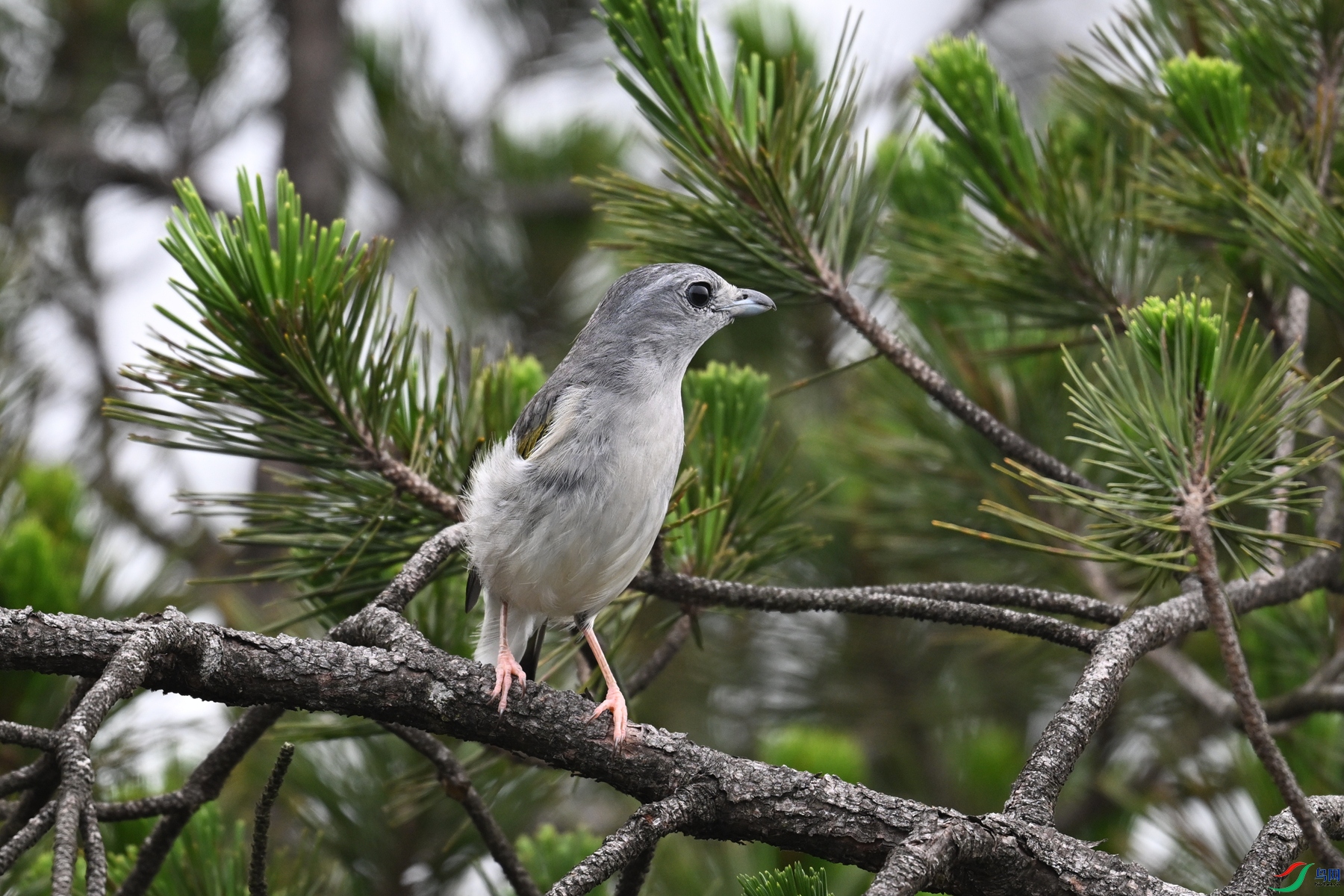 DSC_0911.JPG