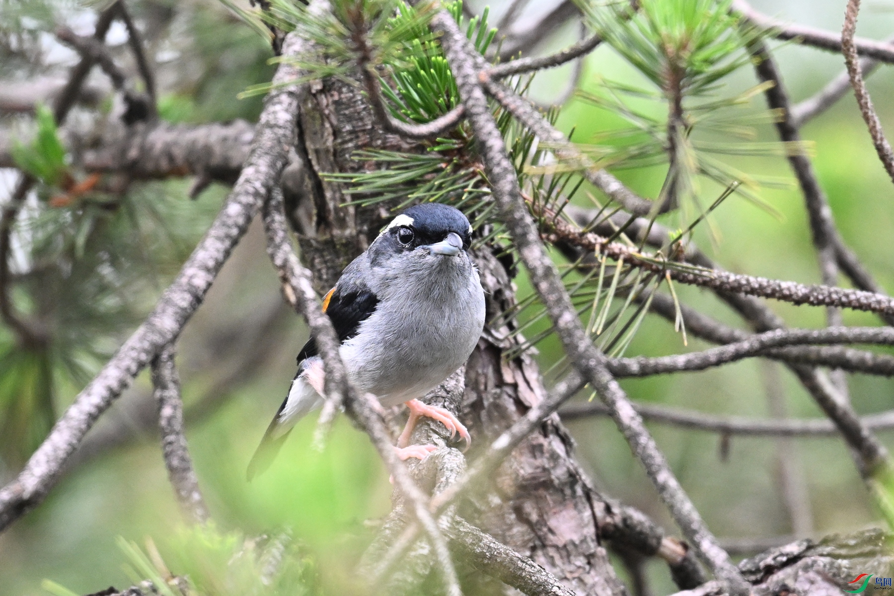 DSC_0932.JPG