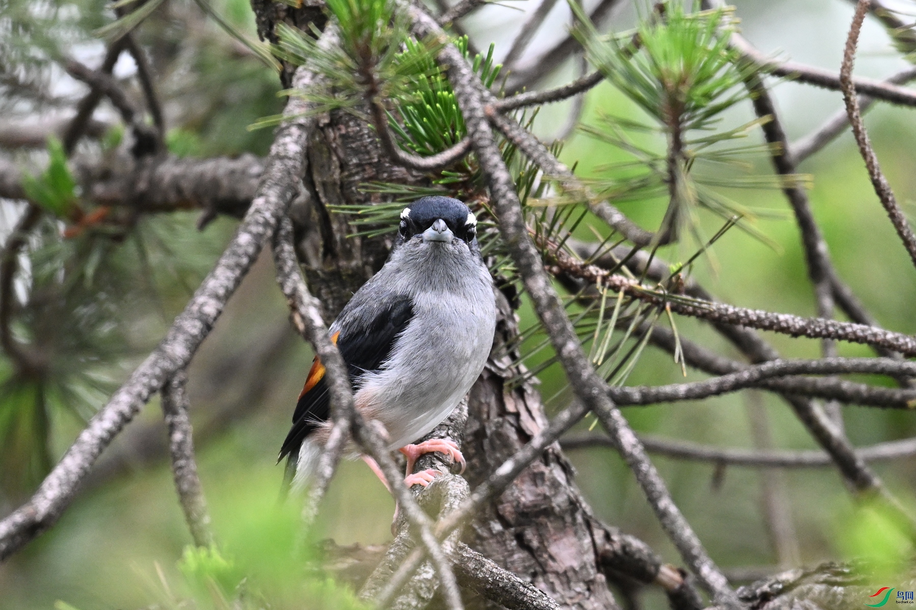 DSC_0940.JPG