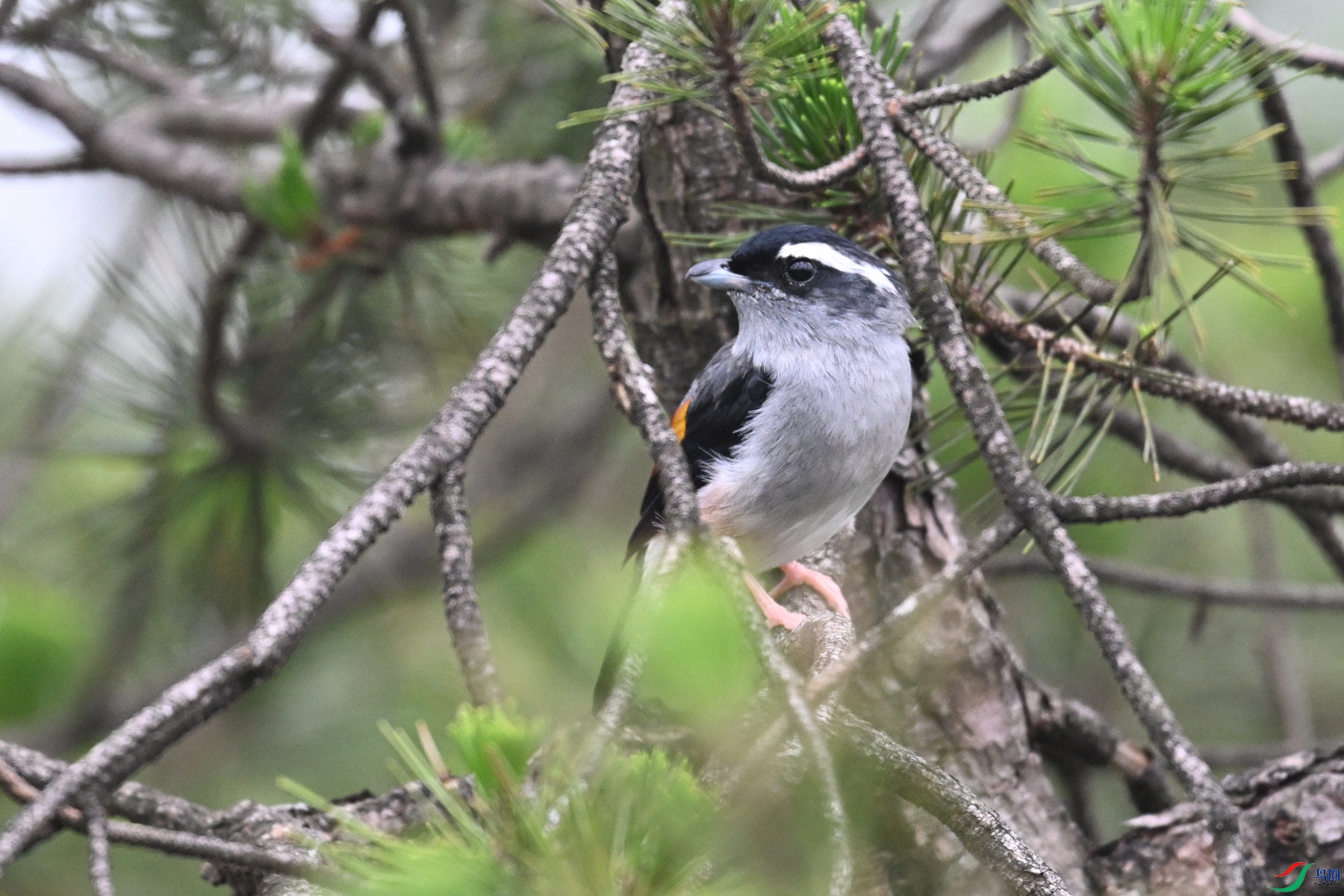 DSC_0945.JPG