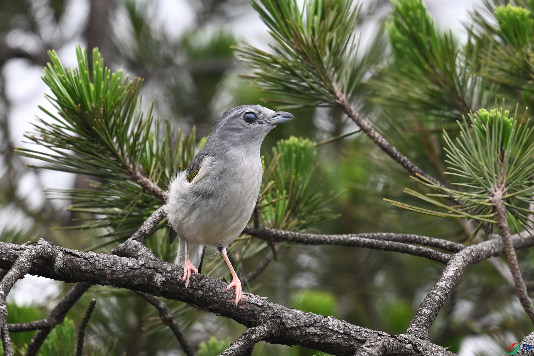 DSC_0916.JPG