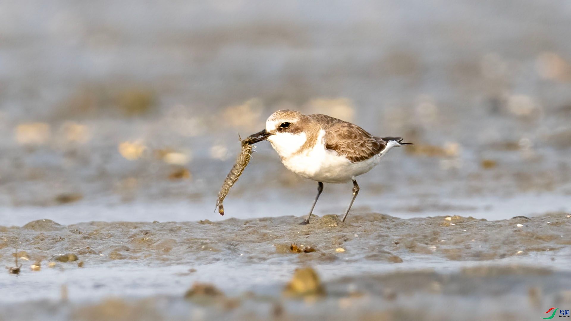 _DSC7574 ����.jpg