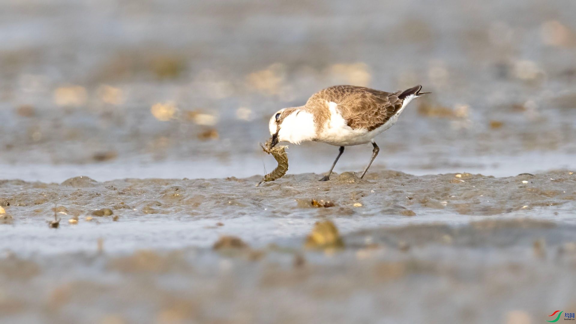 _DSC7577 ����.jpg