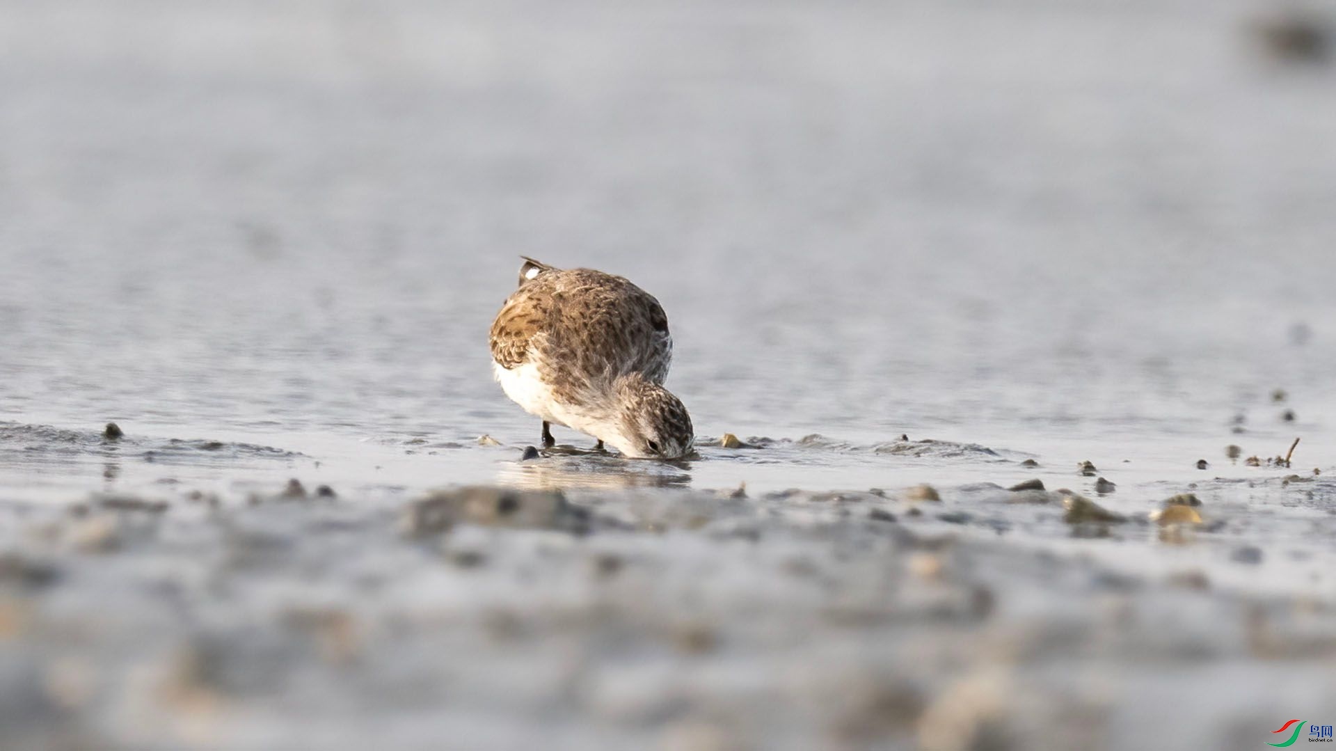 _DSC7620 ����.jpg