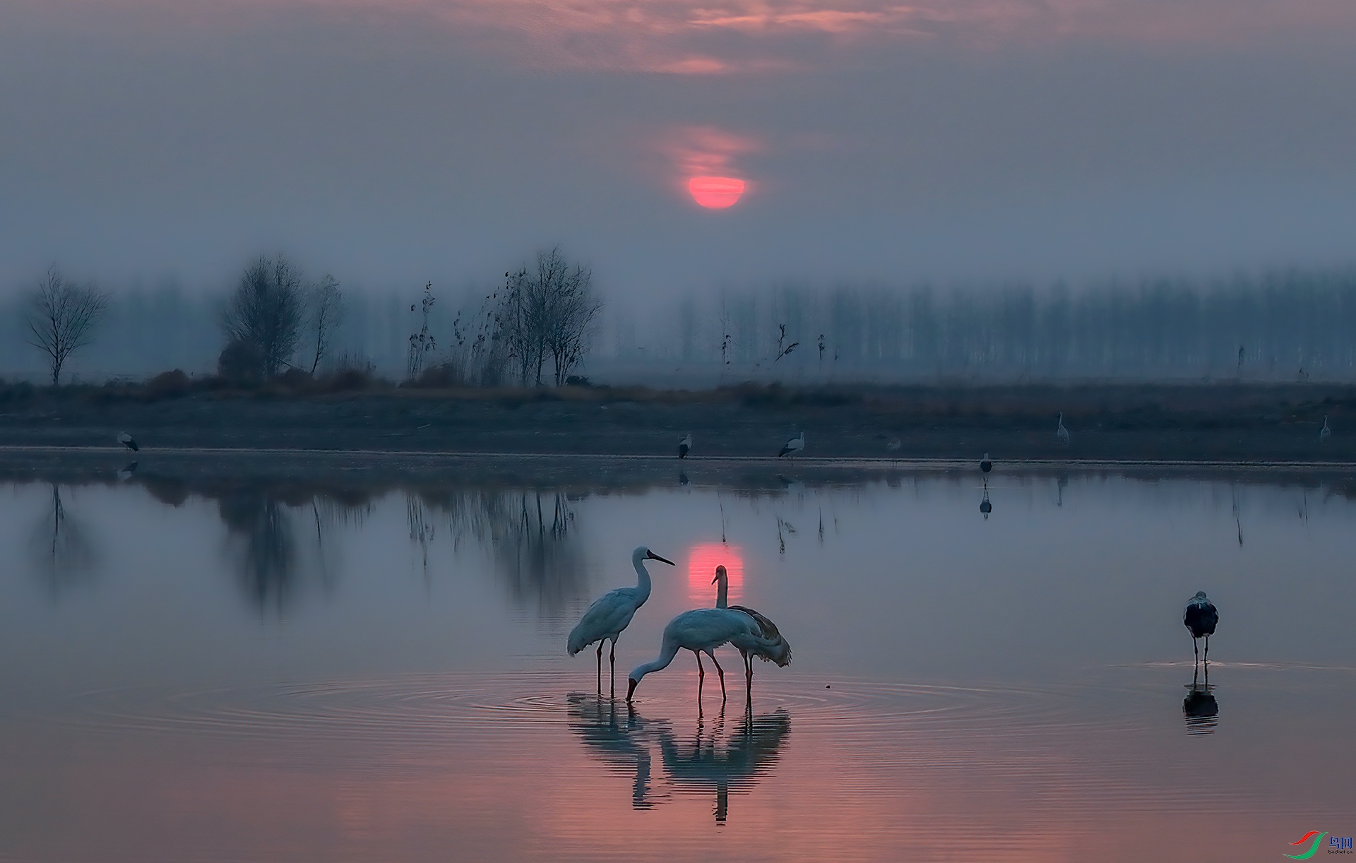 DJI_20250120072302_0011_D ����-Sh-----33  .jpg