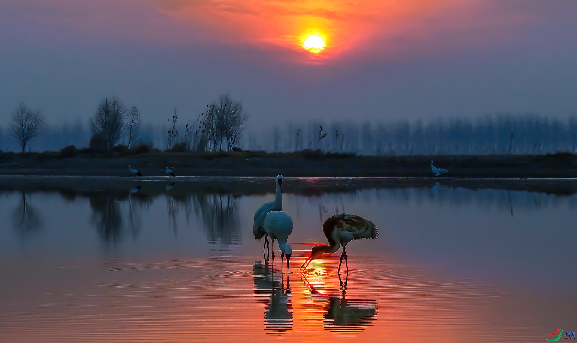 DJI_20250120072906_0180_D ����-Sh----33  .jpg