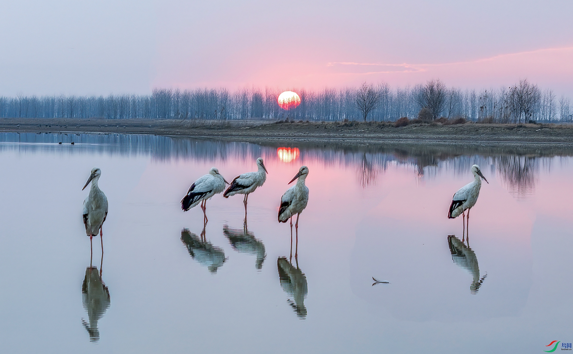 DJI_20250210070613_0086_D-����ǿ-NR ����-Sh------33  .jpg