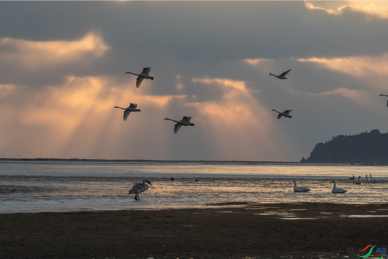 ���⴩��[�ٻ��������]   ��̨��ӥ.png