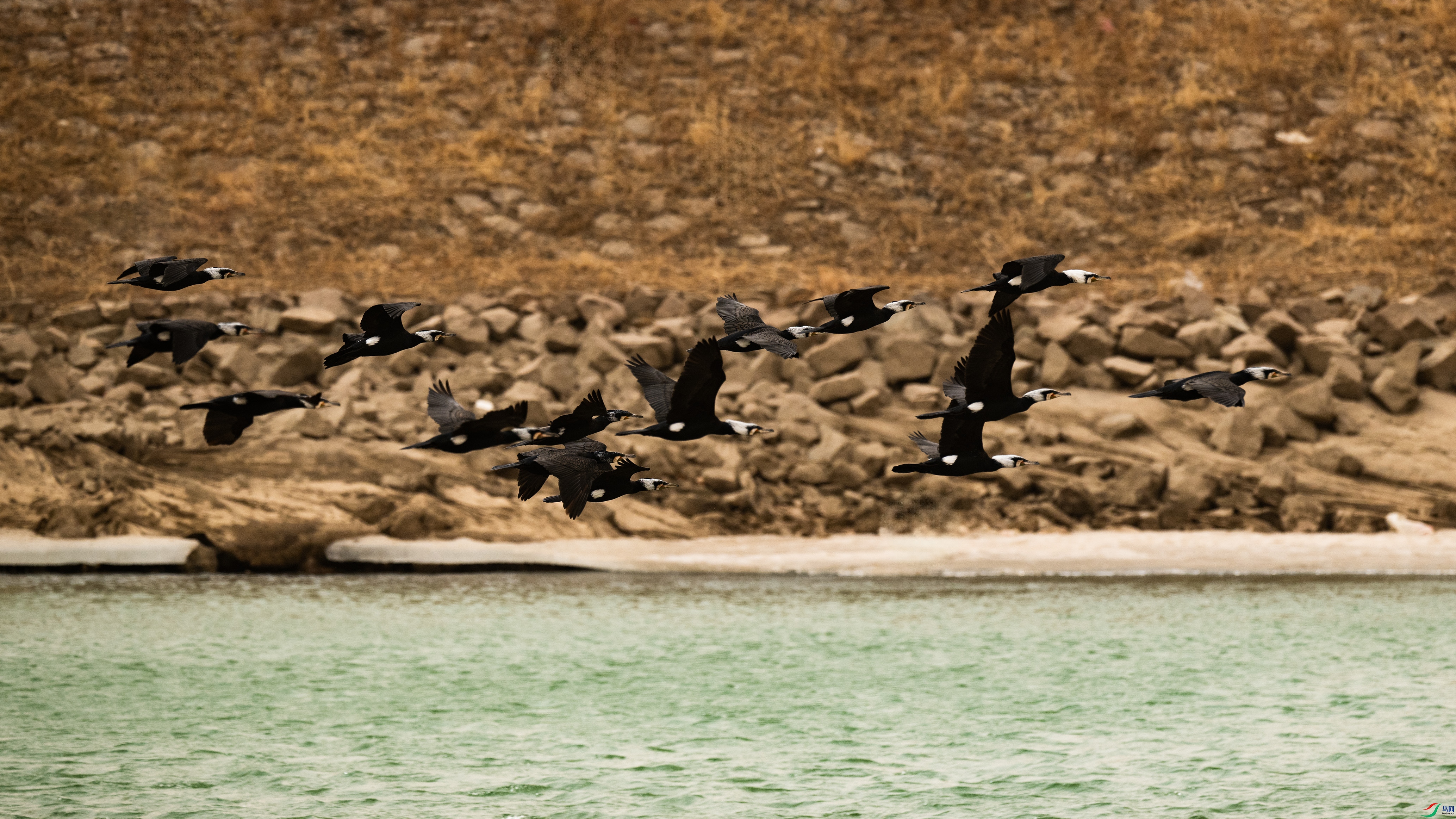 DSC_7110.jpg