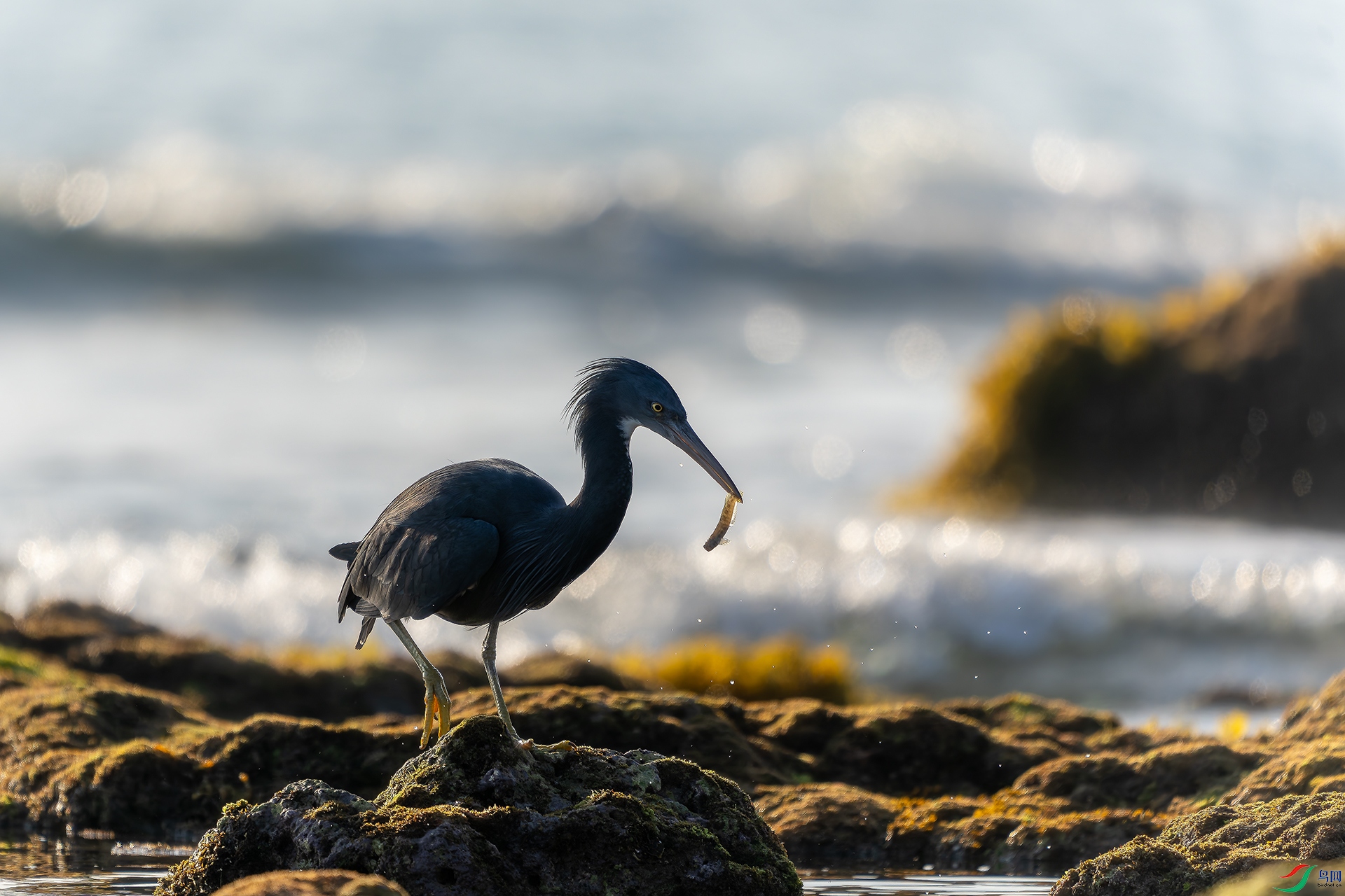 20250211-DSC07367 ����.jpg