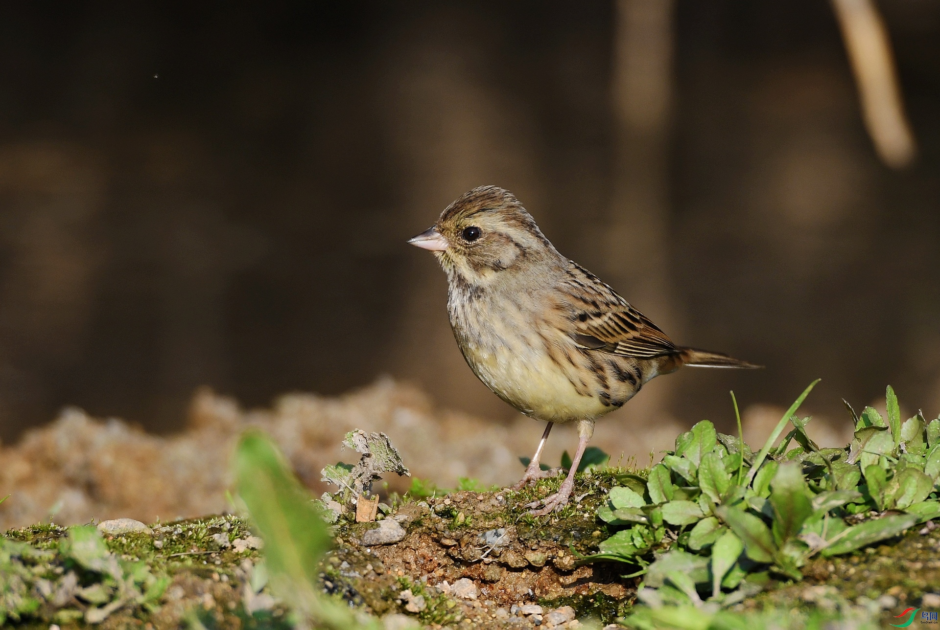 DSC_6227.jpg