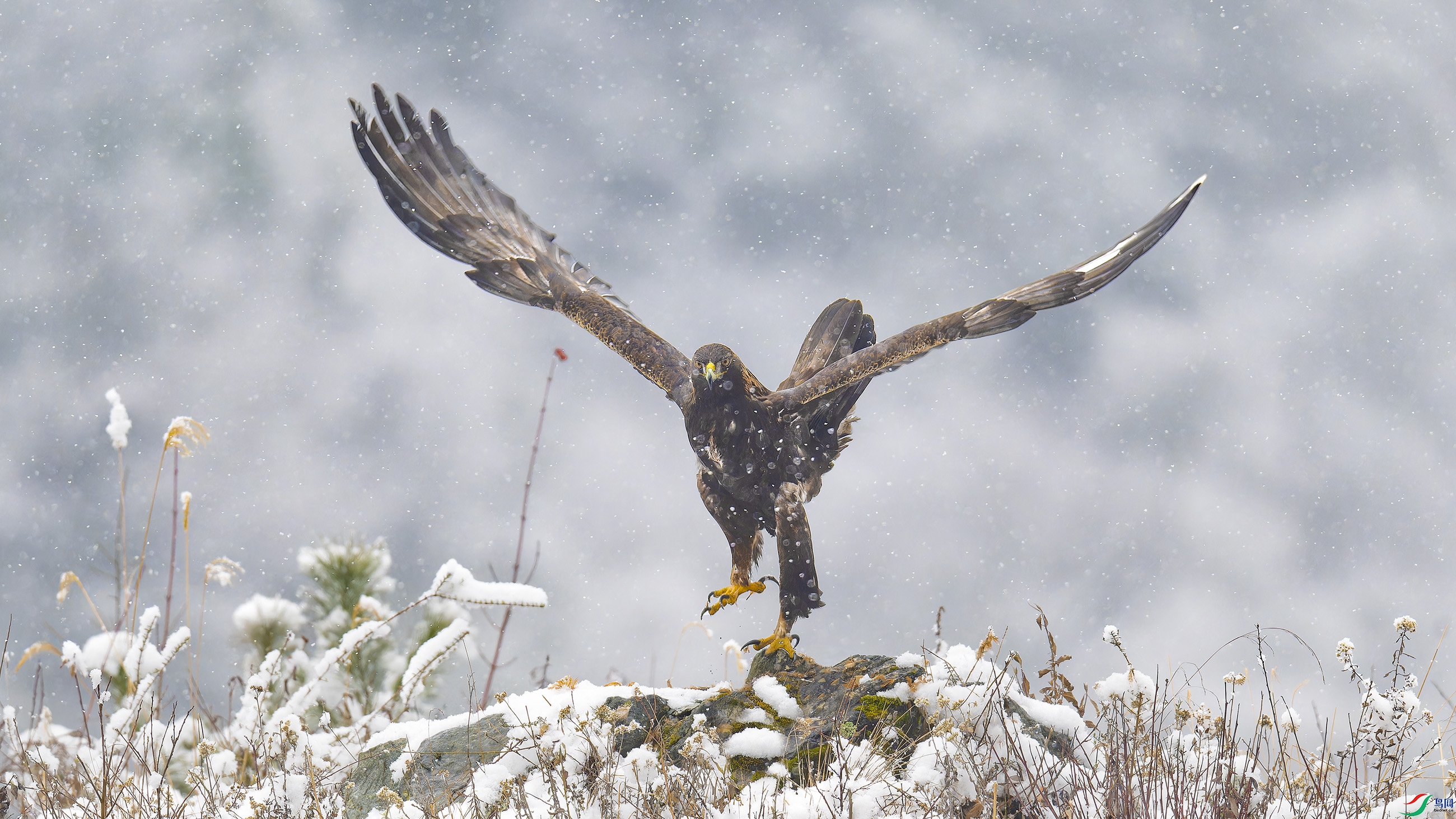DSC_6389_DxO.jpg