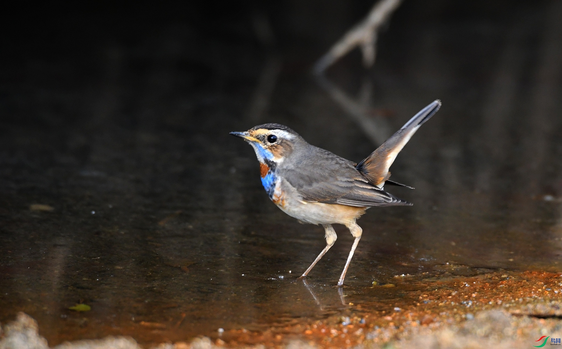 DSC_6611.jpg