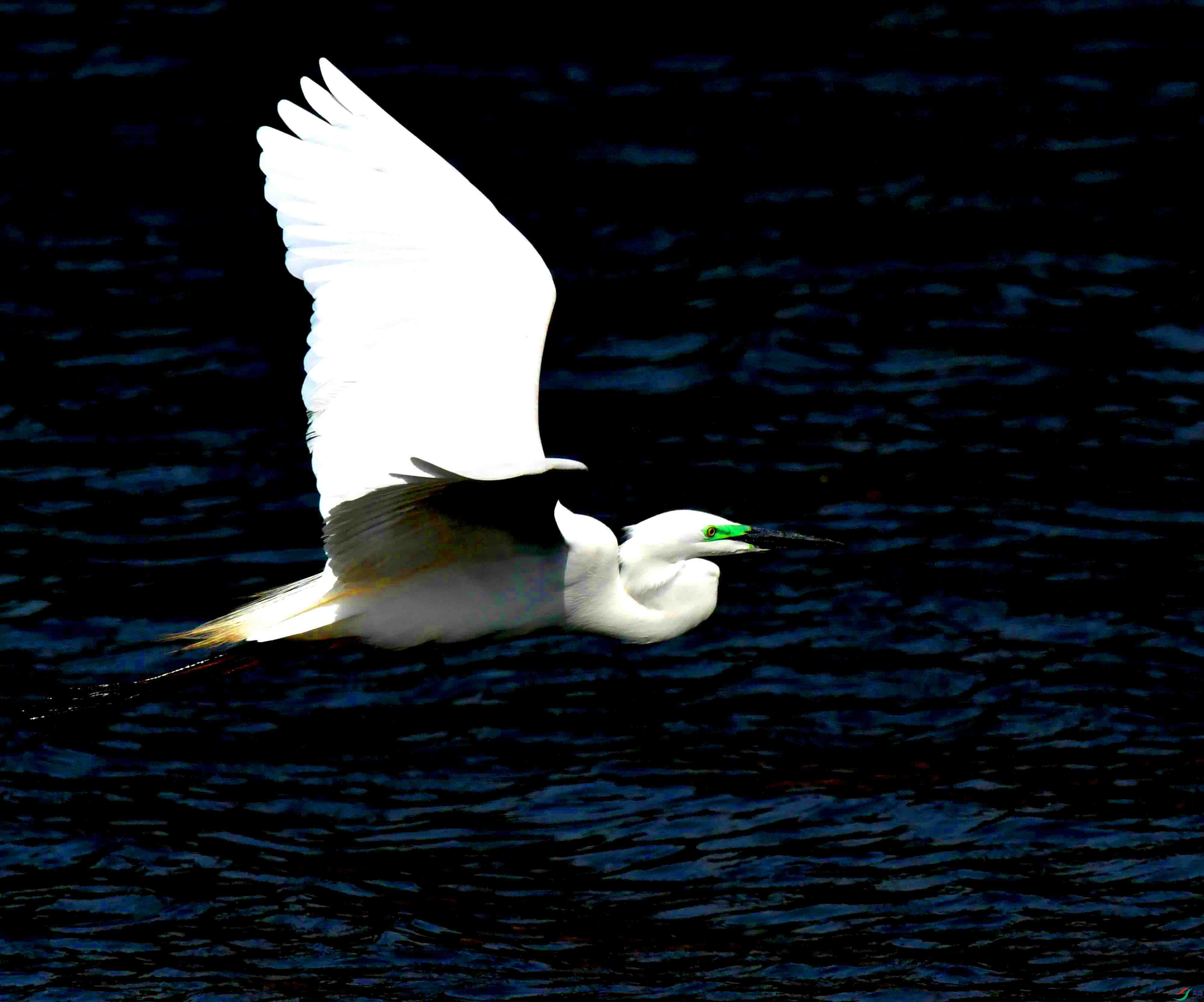 DSC_8256.JPG