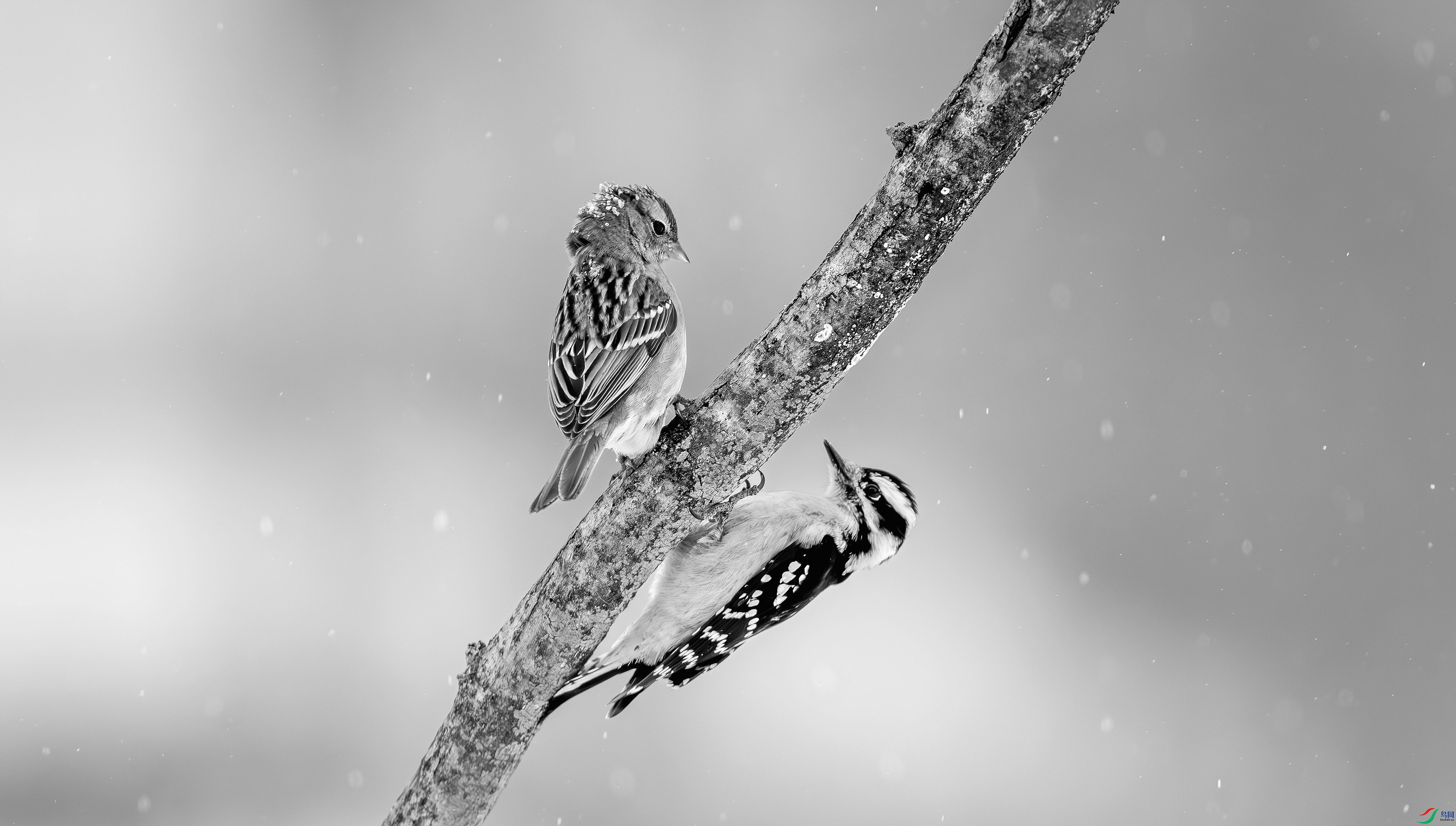 412A7848-1-2_����=00.jpg