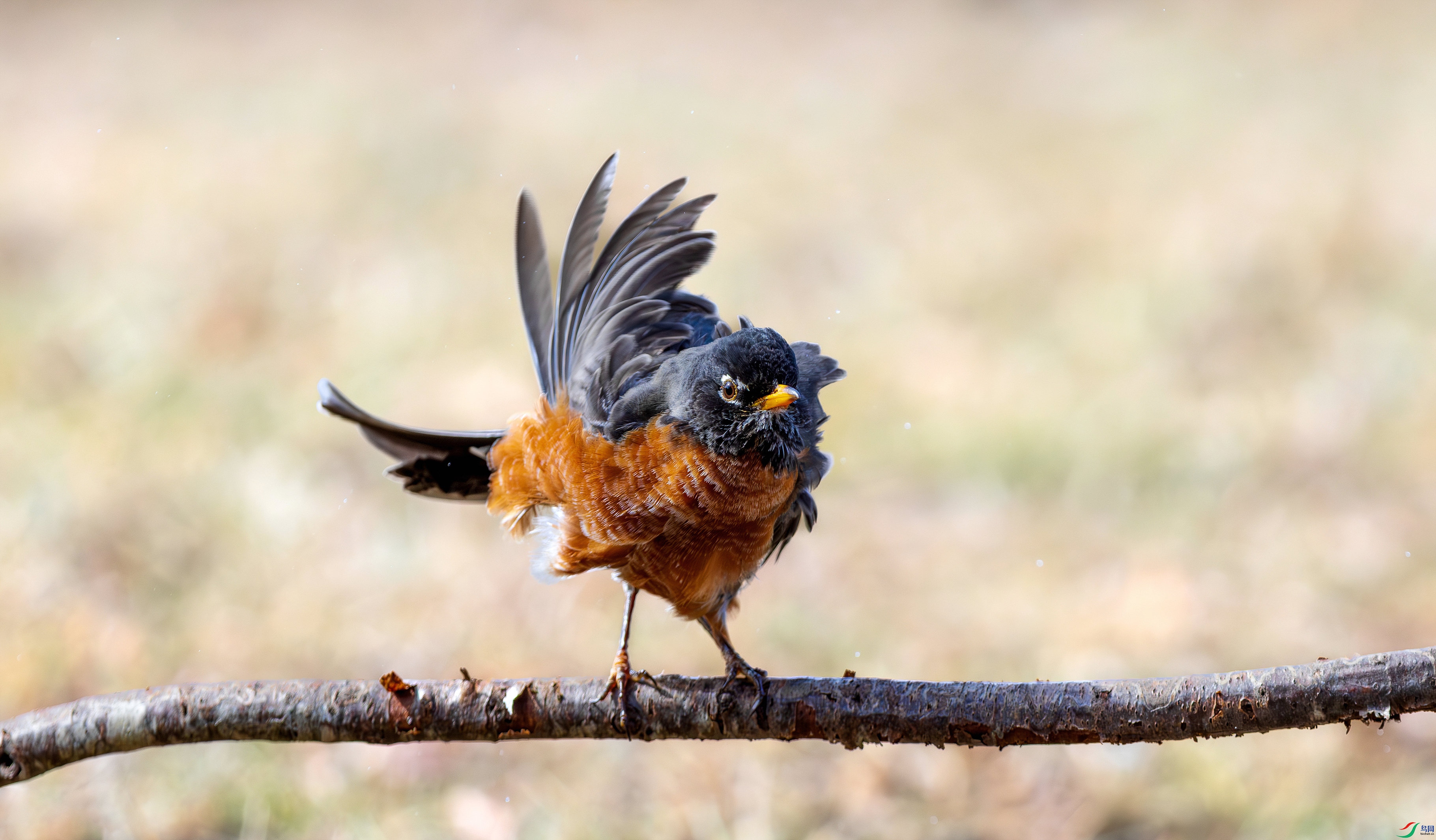 412A4224-1_����=00.jpg