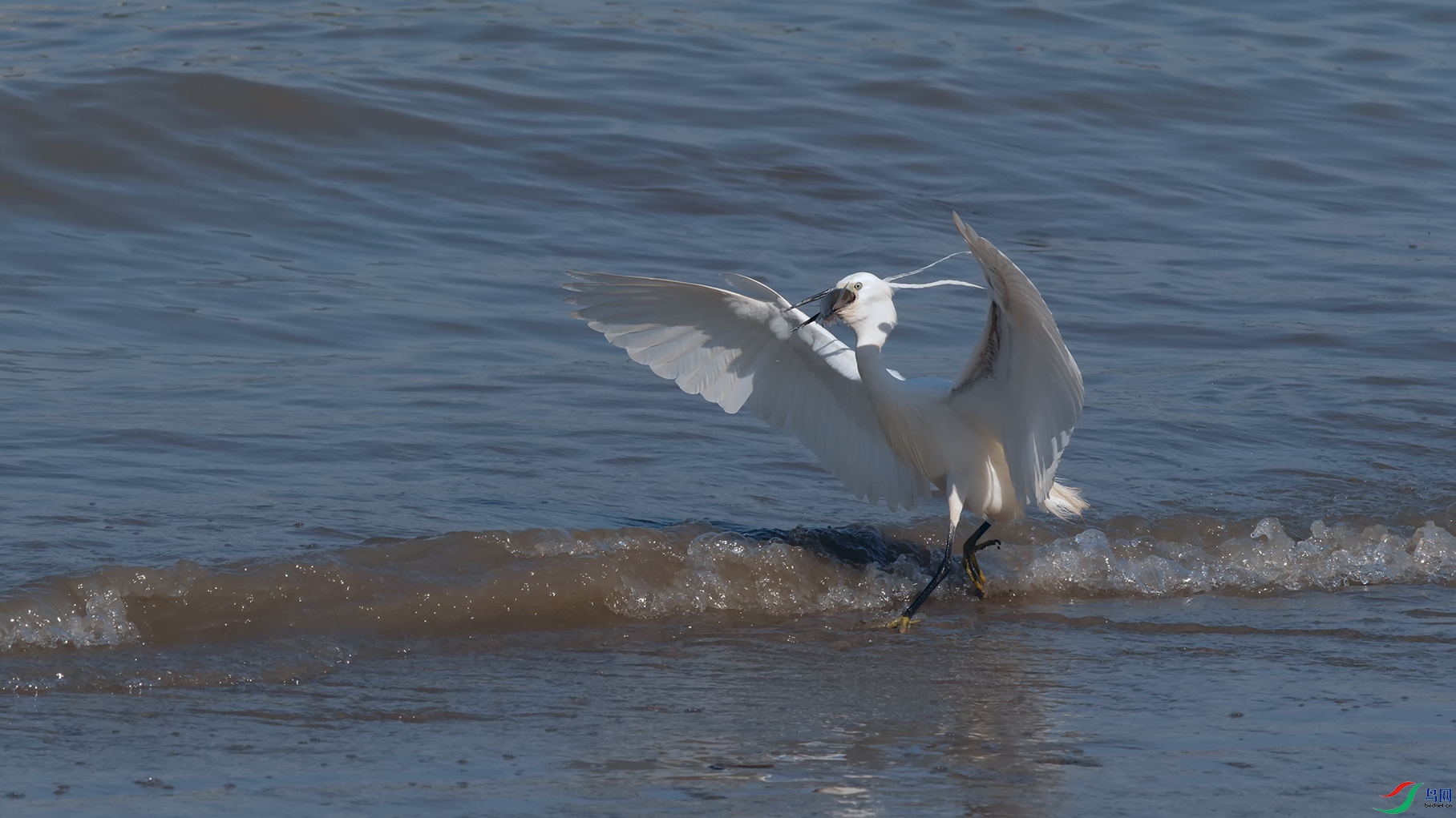 DSC_6361_DxOa.jpg